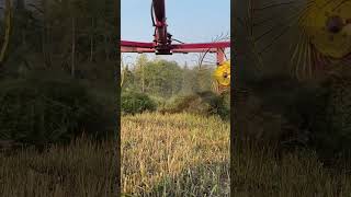 Actually raking goldentrackfarms farmwork balinghay haymaking farm hayharvesting drone [upl. by Maag954]