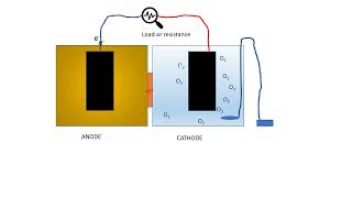 Microbial Fuel Cell [upl. by Namlas]