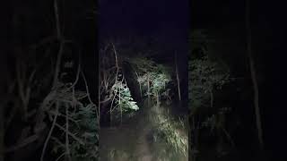 Night patrolling beautiful nightview nightdrive videography viralvideo fallow [upl. by Melmon]