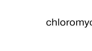 How to pronounce chloromycetin [upl. by Annawit367]