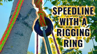 Tree Work Rigging Ring in a Speed Line System [upl. by Ursuline]