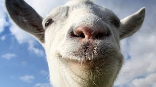 30 Awesome Things To Do In Goat Simulator [upl. by Aan552]