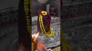 Har har Mahadev reel love mishaa shyam misha devotionalsong festival mishaan harharmahadevs [upl. by Adeline]