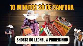 10 MINUTOS SÓ DE SANFONA [upl. by Nyltac]