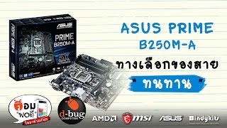 คอมพอดี EpASUS PRIME B250MA ทางเลือกของสายทนทาน [upl. by Hege]