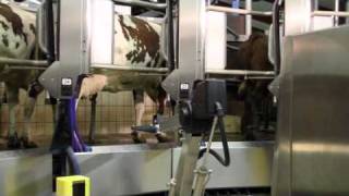 The Worlds First Automatic Milking Rotary System AMR™  DeLaval Robotic Milking Solutions  DeLaval [upl. by Parrisch107]