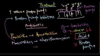 Helicobacter pylori treatment [upl. by Eben]