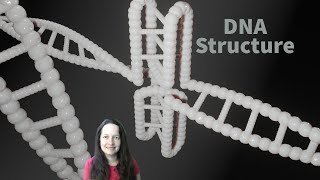 DNA Structure and Replication Video [upl. by Ramma]