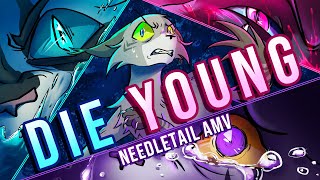 DIE YOUNG  Needletail AMV cw pink blood canontypical violencedeath [upl. by Aire]