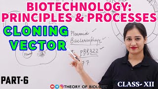 Cloning Vector Plasmid vector pBR322 VECTOR ClassXII Biotechnology NCERT BIOLOGY Neet exam [upl. by Tonjes]