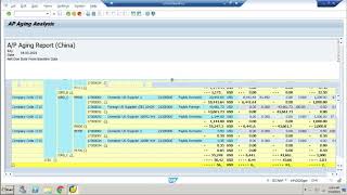 Ageing Reports for APAR in SAP S4 HANA [upl. by Ahtenak19]