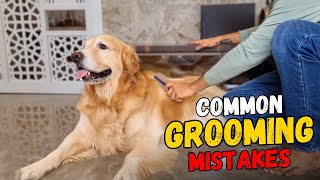 How to Manage Shedding in Golden Retrievers Tips for a Cleaner Home [upl. by Sualokin]