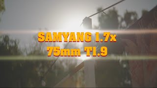 Samyang 17x Anamorphic Adapter  75mm T19  Test Footage [upl. by Lalo631]