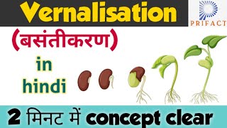 Vernalisation in plants  Plant growth and development  बसंतीकरण vernalisationin hindi Biology [upl. by Con853]