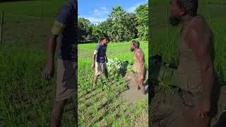 New Funny Video Bangla shorts youtubeshorts funny comedy viral [upl. by Anauqahs]