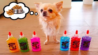 IL NOSTRO CUCCIOLO SCEGLIE GLI INGREDIENTI DELLO SLIME [upl. by Aedrahs]