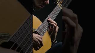 Vals Op 8 No 4  Agustin Barrios 4 of 13 classicalguitarist classicalguitar guitar [upl. by Lavern]