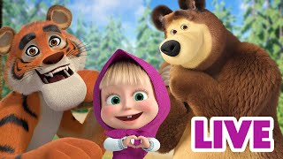 ماشا والدب 👱‍♀️ LIVE STREAM 🐼💖 قلوب رقيقة 🐼💖 Masha and the Bear [upl. by Brig]