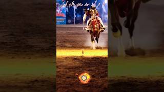 Neza Bazi In Pakistan 2024 nezabazi horseriders equestrian horseriding youtubeshorts gujarkhan [upl. by Wyck]