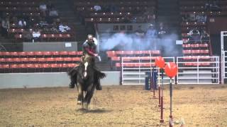 Cowboy Mounted Shooting Joins Houston Rodeo Competition [upl. by Jandy]