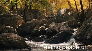 relaxing songmeditation musiclove enjoyable [upl. by Cassidy364]