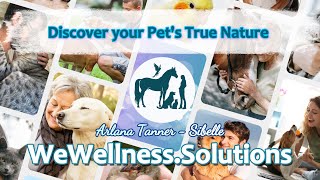 Discover your Pets True Nature  The 5 Elements of Being [upl. by Rowe424]