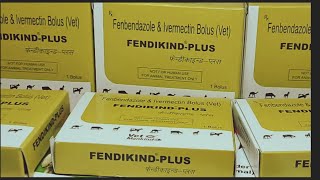 FendikindPlusFenbendazole amp Ivermectinइस बोलस का उपयोग पशुओं में कब कैसे करें  Manjhi Veterinary [upl. by Hpeosj]