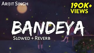 Bandeya  Arijit Singh Dil Juunglee Song  Slowed and Reverb Lofi Mix [upl. by Phillipp]