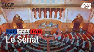 Le Sénat ça sert à quoi  Les clés de la République [upl. by Weinberg387]