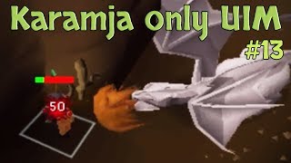 Karamja Only UIM  I did over 50 Steel Dragons without a Shield 13 [upl. by Yunick336]