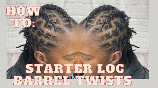 How to do barrel twist on starter locs [upl. by Nosral]