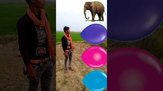 Ghoda Hathi Sher Bagh trending youtubeshorts [upl. by Mahmud]