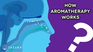 How Aromatherapy Works [upl. by Aserehs]