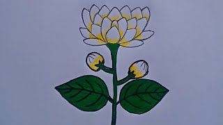 How to draw Belly flower drawing tutorial bellyfuldrawing [upl. by Farl]