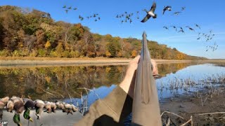 Duck Hunting Massive Flocks of Ducks All Morning This Was So Unexpected [upl. by Aziram127]