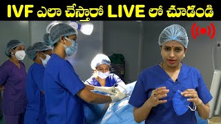 IVF ఎలా చేస్తారో LIVE లో చూడండి  IVF Step By Step Procedure  Dr Jyothi Fertility Expert  HQ [upl. by Ifok730]