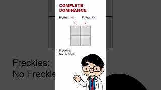 Genetics Punnett Square for Complete Dominance genetics alleles dna hereditary genes Punnett [upl. by Eyk247]