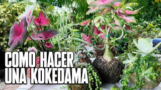 Como Hacer Una Kokedama  Aprende Paso Por Paso [upl. by Patin]