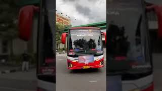 karimun jaya membasuri jeger busmania bismania buspariwisata bussid [upl. by Amarette]