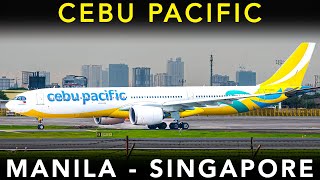 CEBU PACIFICs massive 459 SEAT Airbus A330900neo  Manila to Singapore  TRIP REPORT [upl. by Ravert]