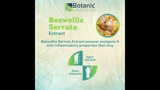 Boswellia Serrata Extract  May Support Joint Health  Botanic Healthcare [upl. by Pasco]