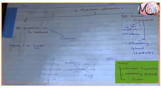 Uronic acid pathway and galactose metabolism [upl. by Acisey899]