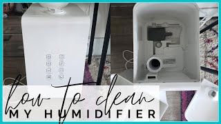 How To Clean Elechomes Humidifier  Humidifier Cleaning Tutorial [upl. by Eidlog]