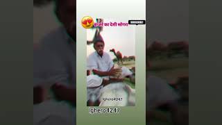 Bajare ka sogara like and subscriberajasthan shorts [upl. by Felice]