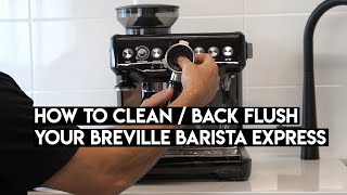 How To Clean Backflush Your Breville Barista Express [upl. by Laidlaw]