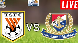 Shandong Taishan vs Yokohama F Marinos Match Prediction l AFC Champions League 2024 [upl. by Gitel]