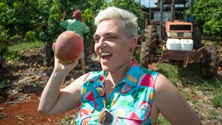 Fun Mango Farm Fruit Picking Trip to Queensland Australia [upl. by Neehcas]