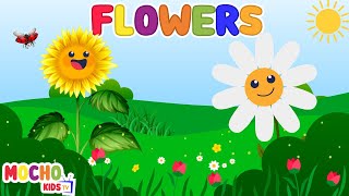 Flower Names for Kids🌺🌻  Learn Colourful Flowers with Pictures for Kids [upl. by Aleak]