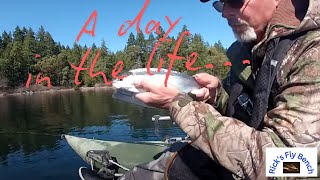 Fly fishing Vancouver Island Trout [upl. by Cannice303]