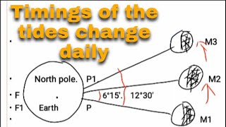 Tides  7th std Geography lesson  part2 Timings of the tides change daily [upl. by Haile]